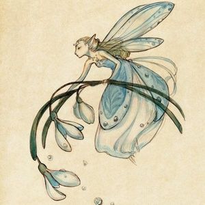 Meet your Posher, Sophia